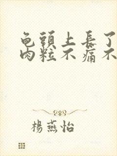 龟头上长了个小肉粒不痛不痒