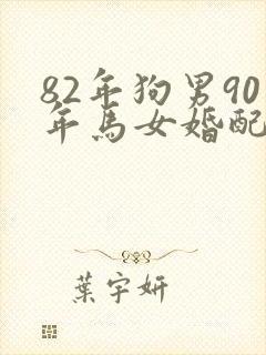 82年狗男90年马女婚配好不好封面