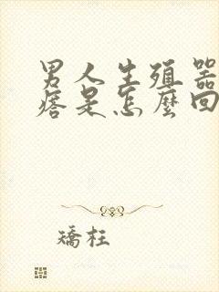 男人生殖器小疙瘩是怎么回事