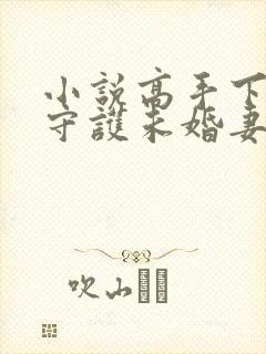 小说高手下山:守护未婚妻最新章节