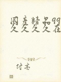 国产精品99久久久久久在线