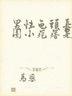 男性龟头长了一圈小疙瘩是什么