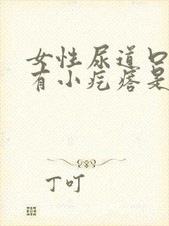 女性尿道口内侧有小疙瘩是怎么回事