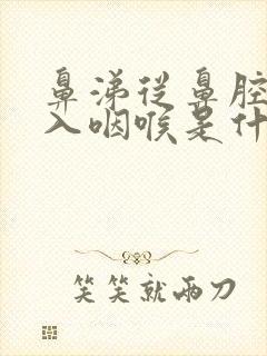 鼻涕从鼻腔内流入咽喉是什么原因