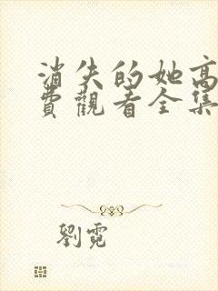 消失的她高清免费观看全集电视剧封面