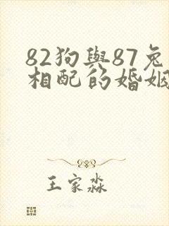 82狗与87兔相配的婚姻如何