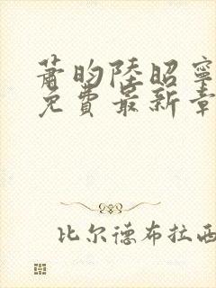 萧昀陆昭宁全文免费最新章节阅读