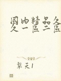 国内精品久久久久一区二区