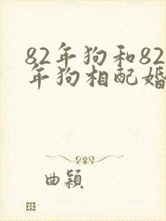 82年狗和82年狗相配婚姻如何