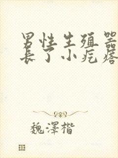 男性生殖器根部长了小疙瘩咋回事