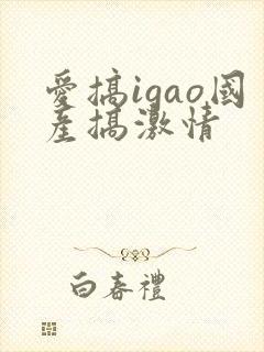 爱搞igao国产搞激情