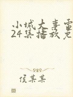 小城大事电视剧24集播放免费观看