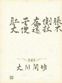 肚子左侧胀痛想大便还拉不出来