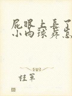 屁眼上长了一个小肉球疼怎么办封面