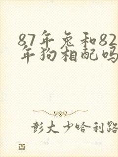 87年兔和82年狗相配吗封面