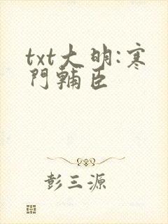 txt大明:寒门辅臣