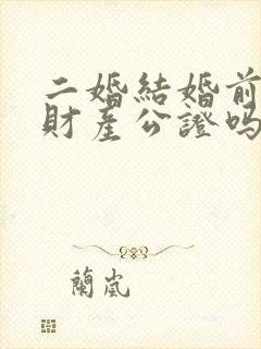 二婚结婚前需要财产公证吗