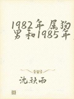 1982年属狗男和1985年属牛女相配吗