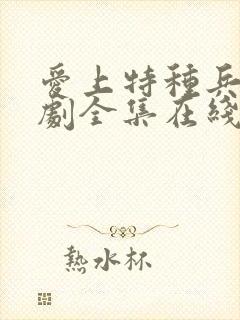 爱上特种兵电视剧全集在线免费