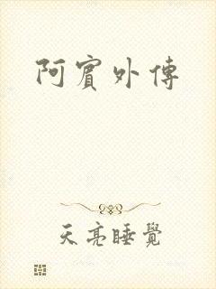 阿宾外传