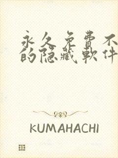 永久免费不收费的隐藏软件app