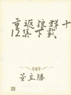 重返狼群十周年12集下载