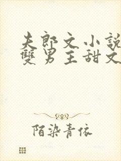 夫郎文小说推荐双男主甜文