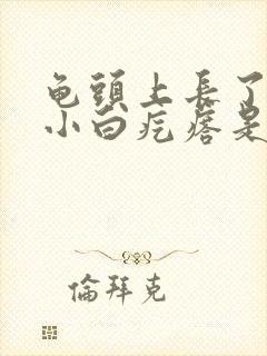 龟头上长了一圈小白疙瘩是什么