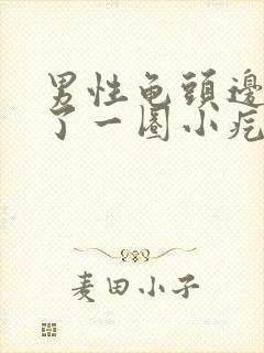 男性龟头边缘长了一圈小疙瘩