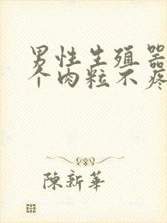 男性生殖器长了个肉粒不疼不痒