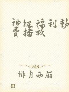 神级福利动漫免费播放