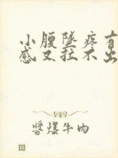 小腹坠疼有排便感又拉不出