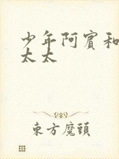 少年阿宾和房东太太