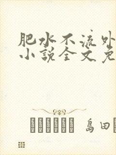 肥水不流外人田小说全文免费阅读全本免