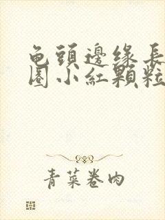 龟头边缘长了一圈小红颗粒