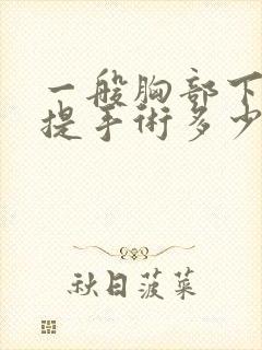 一般胸部下垂上提手术多少钱