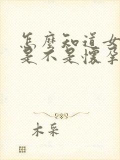 怎么知道女朋友是不是怀孕了封面