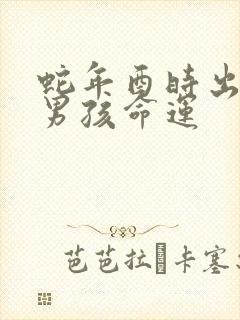 蛇年酉时出生的男孩命运封面