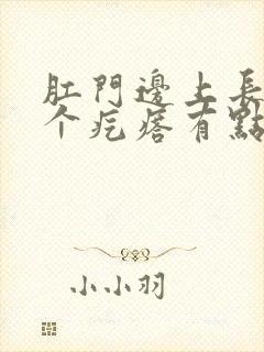 肛门边上长了一个疙瘩有点疼