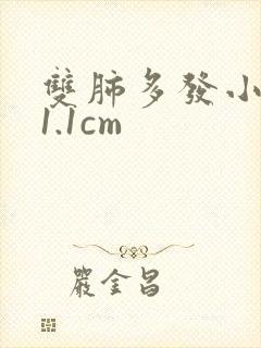 双肺多发小结节1.1cm