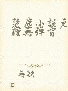 楚尘小说免费阅读无弹窗封面