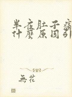 半夜肚子痛想吐什么原因引起的