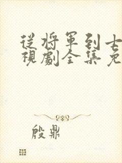 从将军到士兵电视剧全集免费