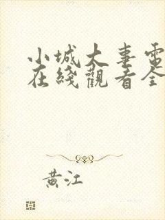 小城大事电视剧在线观看全集35集