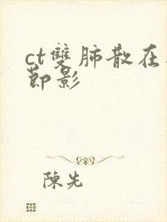 ct双肺散在结节影