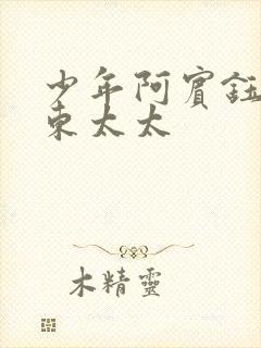 少年阿宾钰慧房东太太