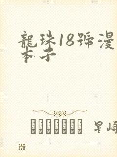 龙珠18号漫画本子