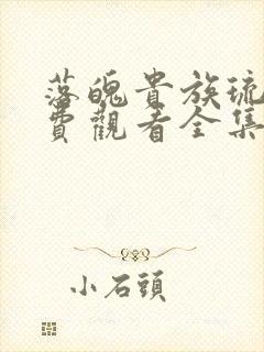 落魄贵族琉璃免费观看全集