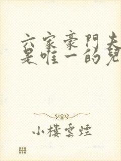 六家豪门夫人我是唯一的儿子