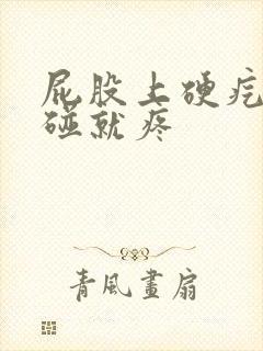 屁股上硬疙瘩一碰就疼